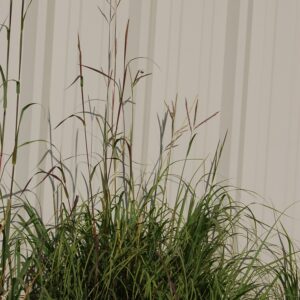 Jefferson County Foothills